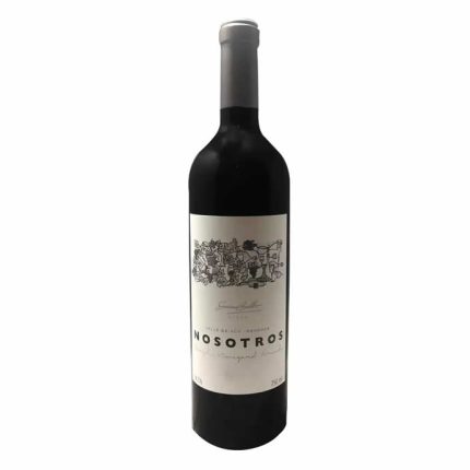 Vinho Tinto Nosotro Safra 2019 750ml