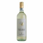 Terre di Castelnuovo Pinot Grigio Delle Venezie D.O.C